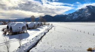 Tammah Jackson Hole - 5