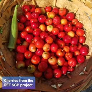 Veronica Homestay Lucea Jamaica - 1