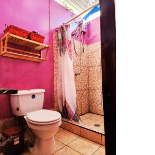 Poetry Garden Bocas Town Colon Island- Deluxe Bungalow Cabin-AC-Enjoy the Night Life - Bocas del Toro - 3