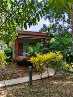Khao Sok River & Jungle Bungalow - Khao Sok - 6