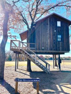 Mockingbird Treehouse 15 MIN to MagnoliaBaylor - - 4