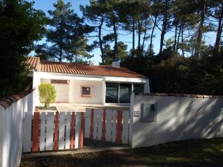 Charmante maison rénovée en lisière de forêt, 600m de la plage, 2 jardins clos, confort moderne - FR-1-323-371 - Saint-Jean-de-Monts - 0