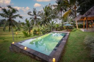 Green Sari Private Villa - Ubud - 3