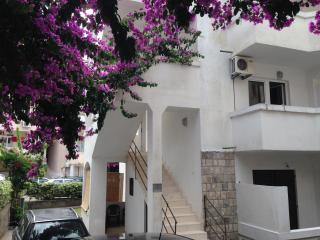 Guest House Violet - Bečići - 9