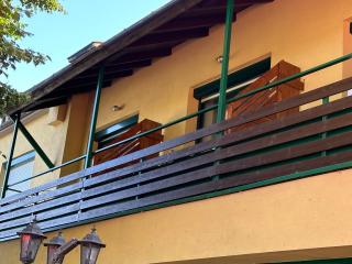 Brauner Bär mit Donaublick - 5