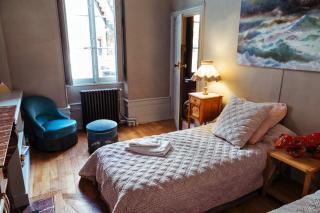 Authentic Flat in Dijon - 8