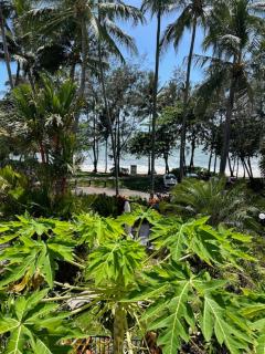 Chrissy’s Cozy Cove - Palm Cove - 7