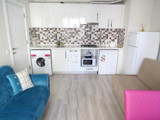 Istanberry - Paradise Two Bedroom Apartments - Istanbul - 4