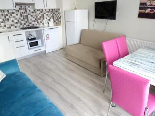 Istanberry - Paradise Two Bedroom Apartments - Istanbul - 9