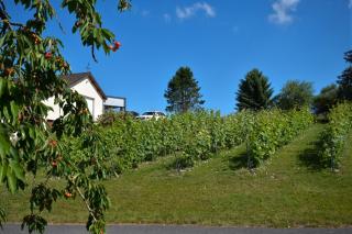 Le Clos du Moulin - 9
