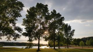 Fewo 2 - Seehaus Hoyer - 2