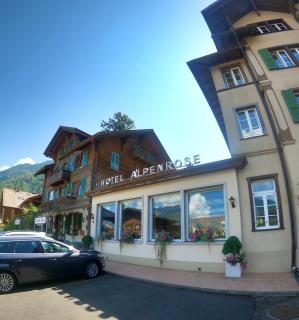 Alpenrose Hotel and Gardens - Wilderswil - 6