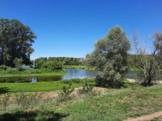 CAMPING ONLYCAMP LE PORT - Saint-Benoît-sur-Loire - 2