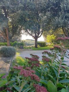 La casa dei nonni tra Crete Senesi e Val D'Orcia - San Giovanni dʼAsso - 8