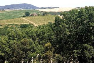 La casa dei nonni tra Crete Senesi e Val D'Orcia - San Giovanni dʼAsso - 6