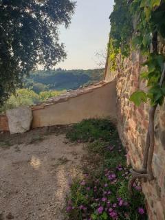 La casa dei nonni tra Crete Senesi e Val D'Orcia - San Giovanni dʼAsso - 5