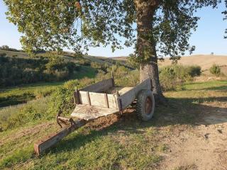 La casa dei nonni tra Crete Senesi e Val D'Orcia - San Giovanni dʼAsso - 3