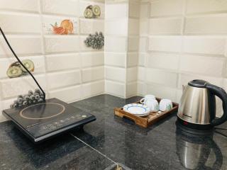 TLS- The Lavish Stay - Varanasi - 4
