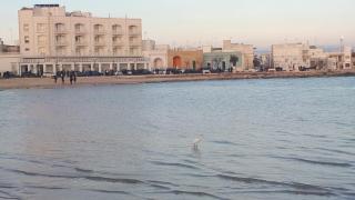 B&B JEWEL - Porto Cesareo - 8
