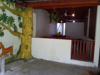 Avinkavilla - 1