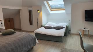 FAMILY STUDIO - Sinaia - 6