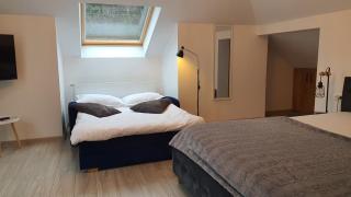 FAMILY STUDIO - Sinaia - 9
