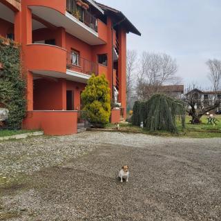 Residence wendy - - 8