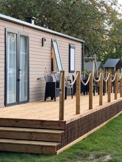 Tournesol - Camp La Belle Vie - 9