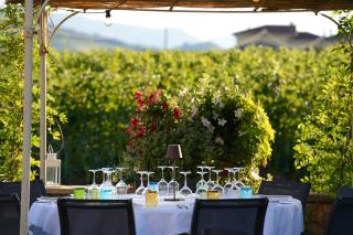 Agriturismo La Ratta - Vernasca - 8