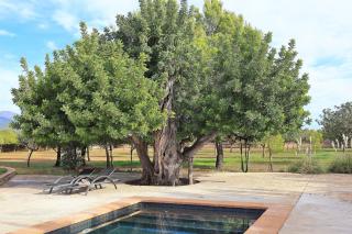 151 Villa Es Triquet ET3366 by Mallorca Charme - Binissalem - 2