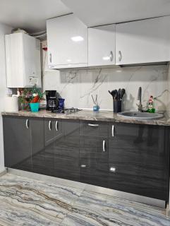 Blue Apartament Braila - Brăila - 3