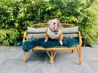 L' Annexe du 10Honfleur - 1