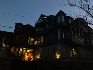 Hotel Old Seti - 9
