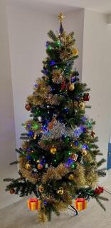 Lyme View Apartment - 9