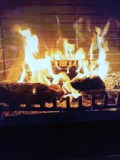 Hotel zur Panke Wohnung 2 - 1