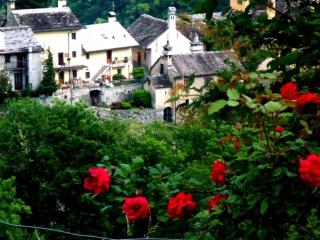 B&B Alpe Veglia - Varzo - 0