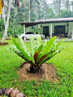 JAYANDRA HOLIDAY BUNGALOW - 4