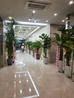 StayC Hotel Myeongdong - Seul - 4