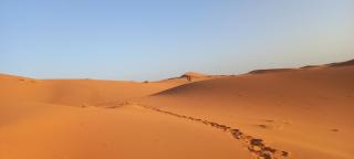 Akour Dessert Camp - 2