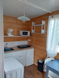 Le petit chalet - Chanas - 1
