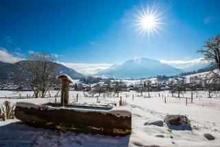 Langerbauer-Hof inkl. Chiemgaukarte - Ruhpolding - 0