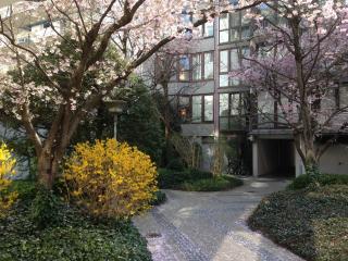 Zentrales EG Apartment im Glockenbachviertel - Munich - 8