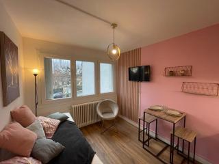 Rose, Studio proche centre ville - 5