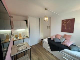 Rose, Studio proche centre ville - 3