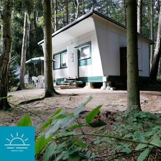 Bungalow SONNE UND MEER direkt am Strand - Dranske - 7