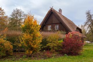 Exklusives Holzhaus - Burg - 5