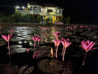 Bua Daeng Homestay Resort - 7