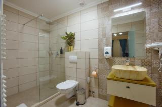 Hotel Imperium - Botiz - 8