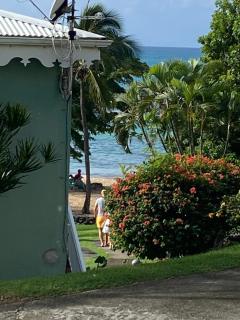 Brin d'ile Anse des Rochers vue mer à 50 m de la plage et piscine - Saint-François - 2