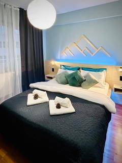 Blue Mountain Residence - Braşov - 7